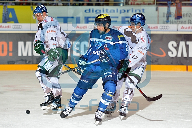 ERC Ingolstadt vs Augsburger Panther, Eishockey, DEL, Deutsche Eishockey Liga, Spieltag 21, 23.11.2016