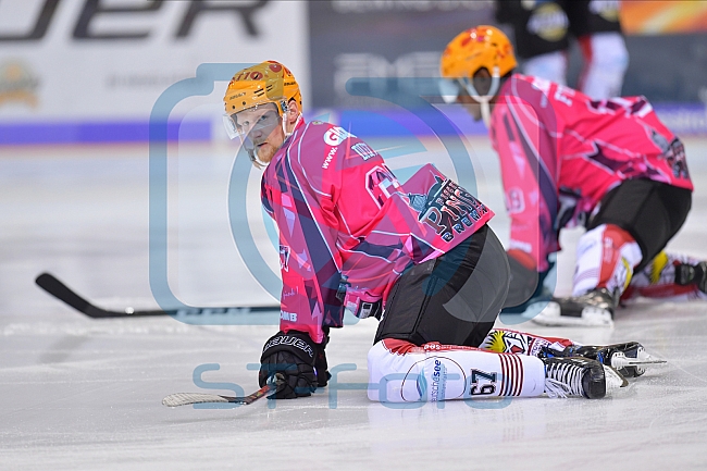 ERC Ingolstadt vs Fischtown Pinguins, DEL, Deutsche Eishockey Liga, Spieltag 8, 04.10.2019