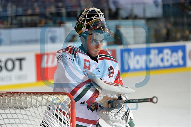 ERC Ingolstadt vs Frolunda Gothenburg, Eishockey, CHL, European Champions League, 29.09.2015




