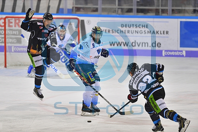 Straubing Tigers vs ERC Ingolstadt, DEL, Deutsche Eishockey Liga, Spieltag 23, 01.12.2019