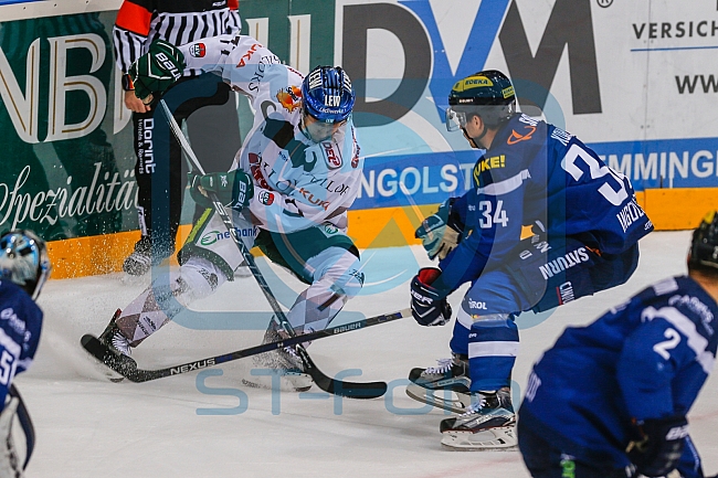 ERC Ingolstadt vs Augsburger Panther, Eishockey, DEL, Deutsche Eishockey Liga, Spieltag 21, 23.11.2016