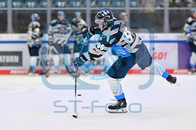 Eishockey, Herren, DEL, Saison 2024-2025, Vorbereitung, ERC Ingolstadt - Dresdner Eislöwen, 18.08.2024