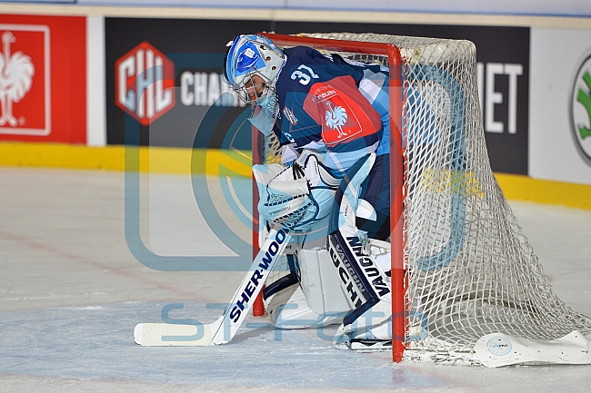 ERC Ingolstadt vs Braehead Clan, Eishockey, CHL, European Champions League, 22.08.2015




