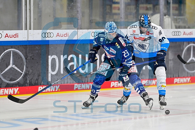 Eishockey, Herren, DEL, Saison 2024-2025, Vorbereitung, ERC Ingolstadt - Dresdner Eislöwen, 18.08.2024