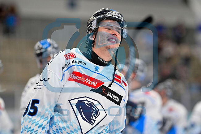 Eishockey, Herren, DEL, Saison 2024-2025, Vorbereitung, ERC Ingolstadt - Dresdner Eislöwen, 18.08.2024