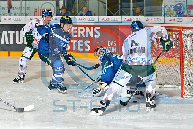 ERC Ingolstadt vs Augsburger Panther, Eishockey, DEL, Deutsche Eishockey Liga, Spieltag 21, 23.11.2016