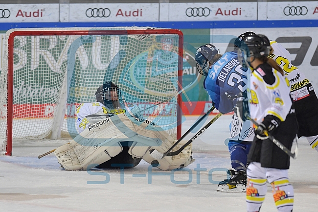 22.11.2020 - ERC Ingolstadt - EC Bergkamener Baeren