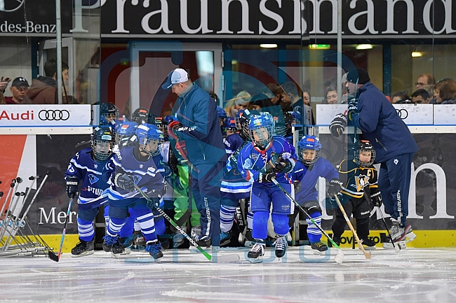 ERC Ingolstadt Kids on Ice Day, 23.02.2019