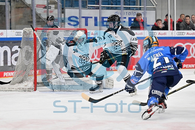 Eishockey, Frauen, DFEL, Saison 2023-2024, ERC Ingolstadt - Amsterdam Tigers, 06.01.2024