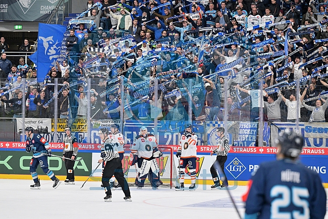 Eishockey, Mens, CHL, Season 2023-2024, ERC Ingolstadt - Växjö Lakers, 14.11.2023