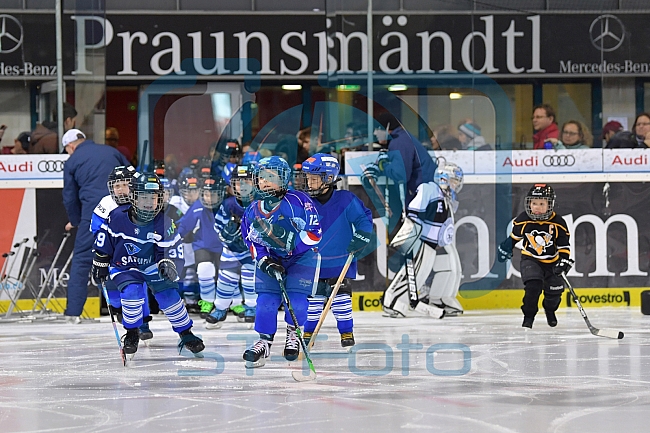 ERC Ingolstadt Kids on Ice Day, 23.02.2019