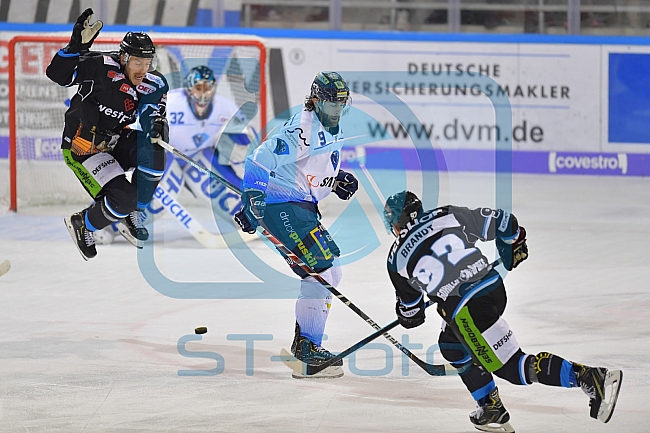 Straubing Tigers vs ERC Ingolstadt, DEL, Deutsche Eishockey Liga, Spieltag 23, 01.12.2019