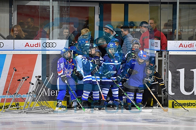 ERC Ingolstadt Kids on Ice Day, 23.02.2019