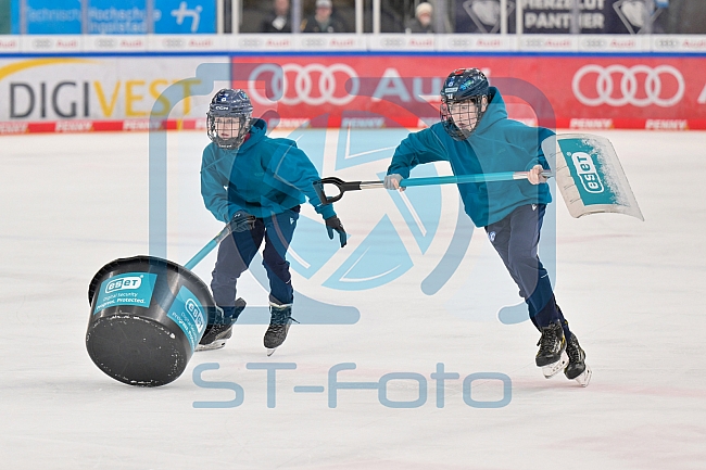 Eishockey, Herren, DEL, Saison 2023-2024, Playoffs Viertelfinale - Spiel 4, ERC Ingolstadt - Fischtown Pinguins , 24.03.2024