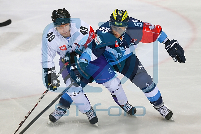 ERC Ingolstadt vs Braehead Clan, CHL, European Champions League, 22.08.2015  