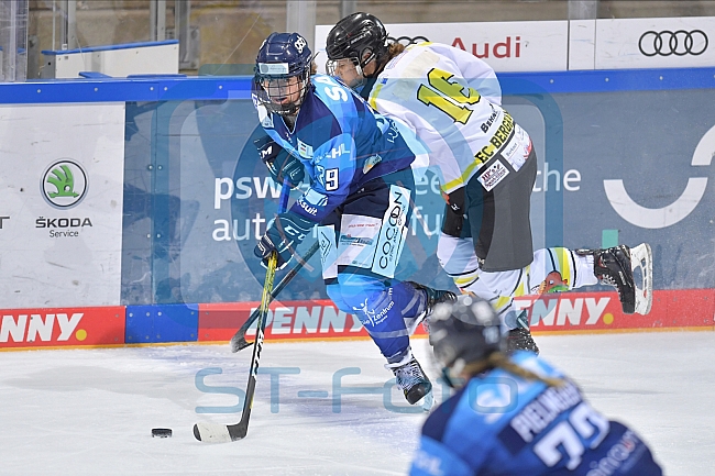 22.11.2020 - ERC Ingolstadt - EC Bergkamener Baeren