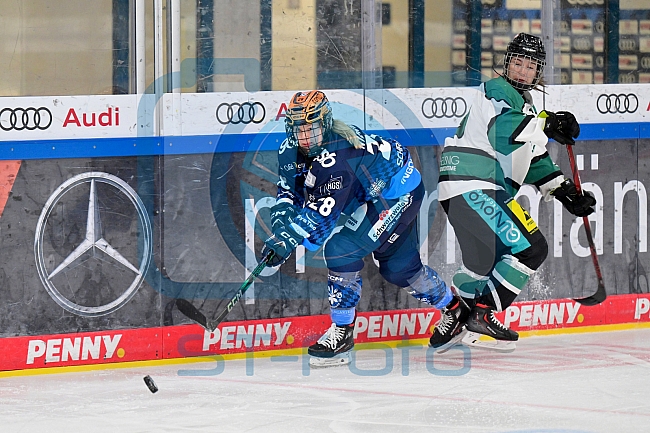 Eishockey, Frauen, European Womens Hockey League, Saison 2024-2025, ERC Ingolstadt - Lakers Kärnten, 13.09.2024