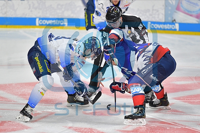 Adler Mannheim vs ERC Ingolstadt, DEL, Deutsche Eishockey Liga, Spieltag 24, 06.12.2019