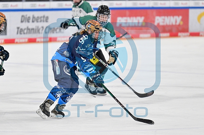 Eishockey, Frauen, European Womens Hockey League, Saison 2024-2025, ERC Ingolstadt - Lakers Kärnten, 13.09.2024