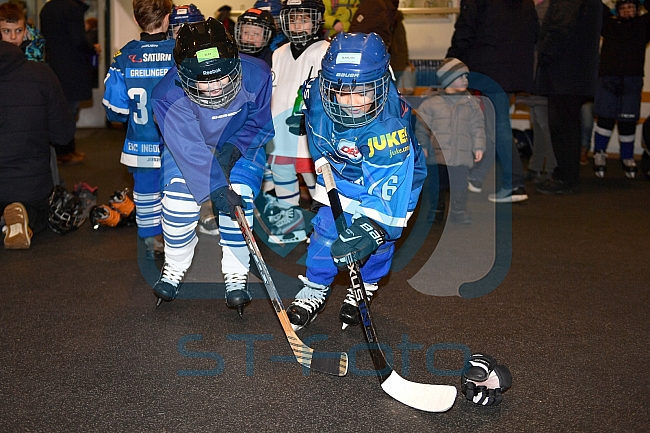 Kids on Ice Day, ERC Ingolstadt, Eishockey, DEL, Deutsche Eishockey Liga, 17.02.2018