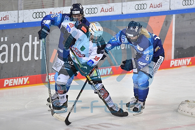 15.11.2020 - ERC Ingolstadt - ECDC Memmingen Indians