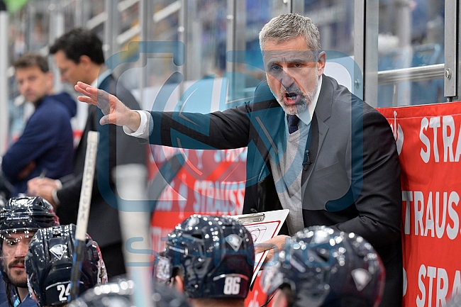 Eishockey, Mens, CHL, Season 2023-2024, ERC Ingolstadt - Växjö Lakers, 14.11.2023