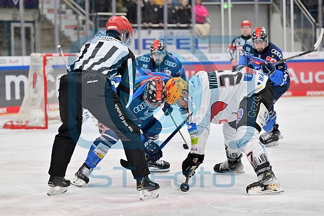 Eishockey, Herren, DEL, Saison 2023-2024, Playoffs Viertelfinale - Spiel 2, ERC Ingolstadt - Fischtown Pinguins , 20.03.2024