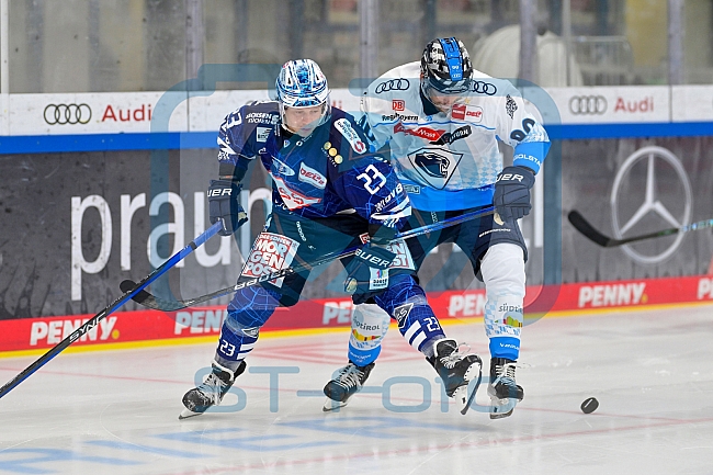 Eishockey, Herren, DEL, Saison 2024-2025, Vorbereitung, ERC Ingolstadt - Dresdner Eislöwen, 18.08.2024