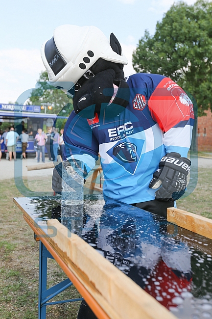 Vor dem Spiel ERC Ingolstadt gegen Braehead Clan - Champions Hockey League (CHL) fand im Klenzepark ein bayerisch-schottisches Fanfest statt