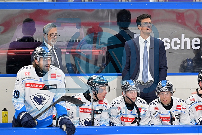 Eishockey, Herren, Gäuboden-Cup 2024, Straubing Tigers - ERC Ingolstadt, 29.08.2024