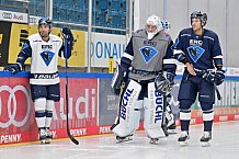 Eishockey, Herren, DEL, Saison 2024-2025, ERC Ingolstadt - Showtraining für Dauerkartenbesitzer, 04.08.2024