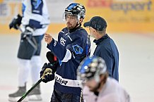 Eishockey, Herren, DEL, Saison 2024-2025, ERC Ingolstadt - Ice Training, 24.08.2024