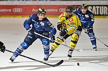 ERC Ingolstadt vs Krefeld Pinguine, Eishockey, DEL, Deutsche Eishockey Liga, 05.01.2016