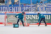 Eishockey, Herren, DEL, Saison 2023-2024, Playoffs Viertelfinale - Spiel 4, ERC Ingolstadt - Fischtown Pinguins , 24.03.2024