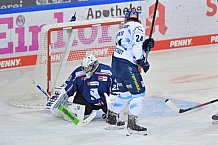 02.01.2021 - Straubing Tigers - ERC Ingolstadt