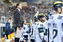 Fischtown Pinguins Bremerhaven - ERC Ingolstadt, Eishockey, DEL, Deutsche Eishockey Liga, Preplayoff, Spiel 2, 03.03.2017