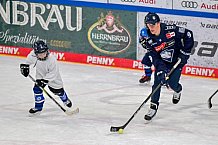 Eishockey, Herren, DEL, Saison 2024-2025, ERC Ingolstadt - Kids On Ice Day, 11.01.2025