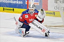 Adler Mannheim vs ERC Ingolstadt, DEL, Deutsche Eishockey Liga, Spieltag 50, 01.03.2020