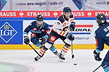 Eishockey, Mens, CHL, Season 2023-2024, ERC Ingolstadt - Växjö Lakers, 14.11.2023