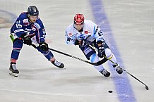 02.01.2021 - Straubing Tigers - ERC Ingolstadt