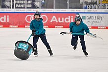 Eishockey, Herren, DEL, Saison 2023-2024, Playoffs Viertelfinale - Spiel 4, ERC Ingolstadt - Fischtown Pinguins , 24.03.2024