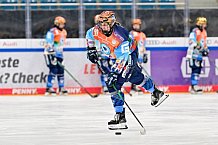 Eishockey, Frauen, DFEL, Saison 2024-2025, ERC Ingolstadt - ECDC Memmingen Indians, 16.11.2024