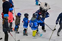 Eishockey, Herren, DEL, Saison 2024-2025, ERC Ingolstadt - Kids On Ice Day, 11.01.2025