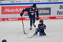 Eishockey, Herren, DEL, Saison 2024-2025, ERC Ingolstadt - Kids On Ice Day, 11.01.2025