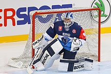 ERC Ingolstadt vs Braehead Clan, CHL, European Champions League, 22.08.2015  