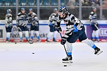 Eishockey, Herren, DEL, Saison 2024-2025, Vorbereitung, ERC Ingolstadt - Dresdner Eislöwen, 18.08.2024