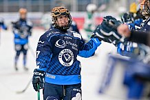 Eishockey, Frauen, European Womens Hockey League, Saison 2024-2025, ERC Ingolstadt - Lakers Kärnten, 13.09.2024