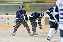 Eishockey, Herren, DEL, Saison 2024-2025, ERC Ingolstadt - Ice Training, 23.08.2024