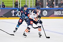 Eishockey, Mens, CHL, Season 2023-2024, ERC Ingolstadt - Växjö Lakers, 14.11.2023