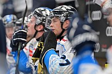 Eishockey, Herren, DEL, Saison 2024-2025, Vorbereitung, ERC Ingolstadt - Dresdner Eislöwen, 18.08.2024